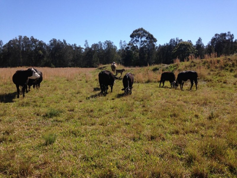 353 Blackmans Point Rd, Port Macquarie NSW 2444