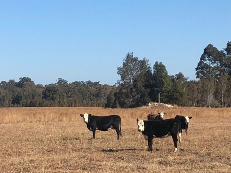 353 Blackmans Point Rd, Port Macquarie NSW 2444