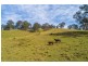 1715 Toms Creek Road, Toms Creek NSW 2446