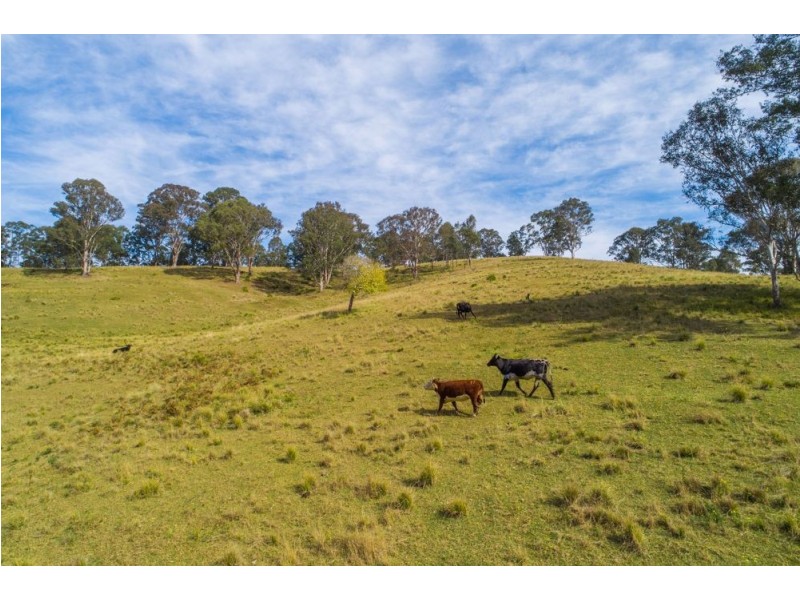 1715 Toms Creek Road, Toms Creek NSW 2446