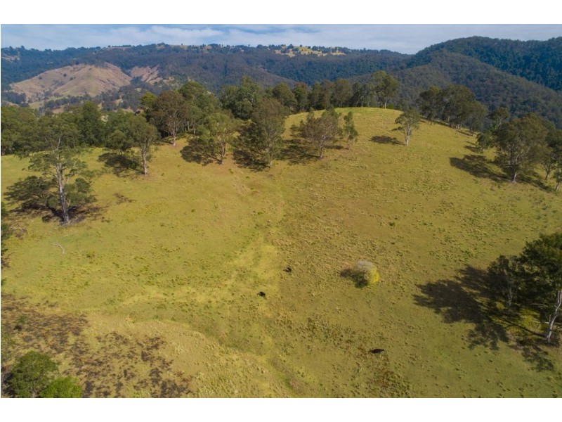 1715 Toms Creek Road, Toms Creek NSW 2446