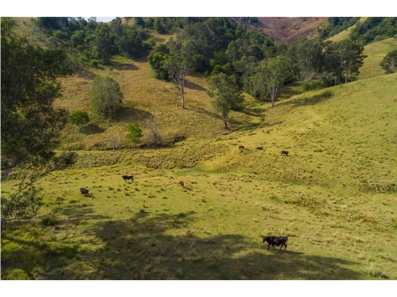 1715 Toms Creek Road, Toms Creek NSW 2446