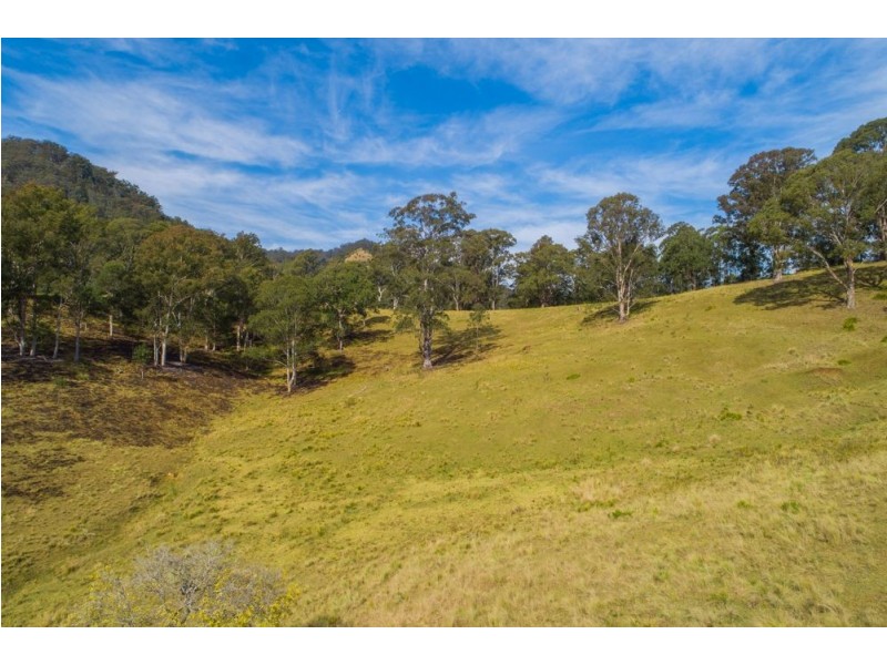1715 Toms Creek Road, Toms Creek NSW 2446