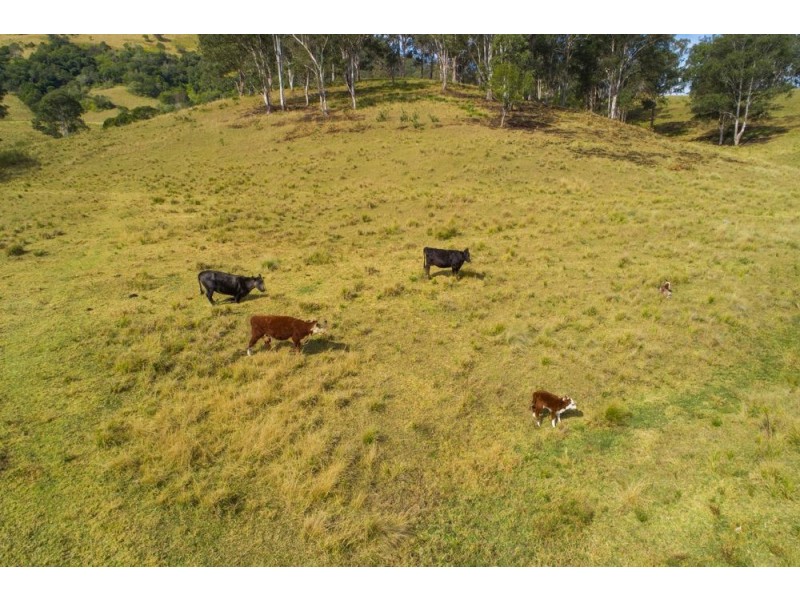 1715 Toms Creek Road, Toms Creek NSW 2446