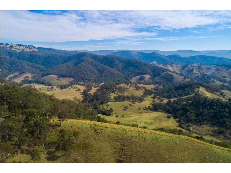 1715 Toms Creek Road, Toms Creek NSW 2446