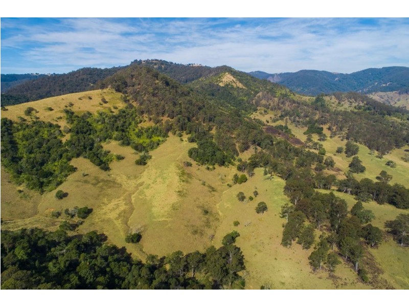 1715 Toms Creek Road, Toms Creek NSW 2446