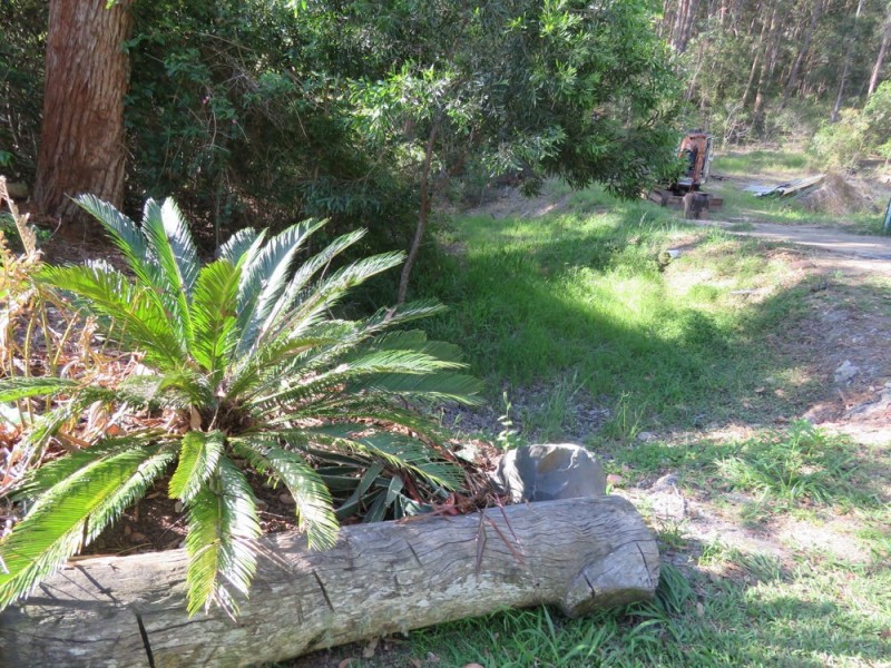 Telegraph Point NSW 2441