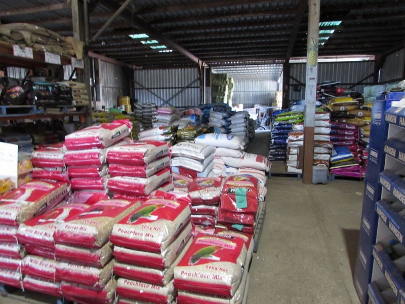 Port Macquarie NSW 2444