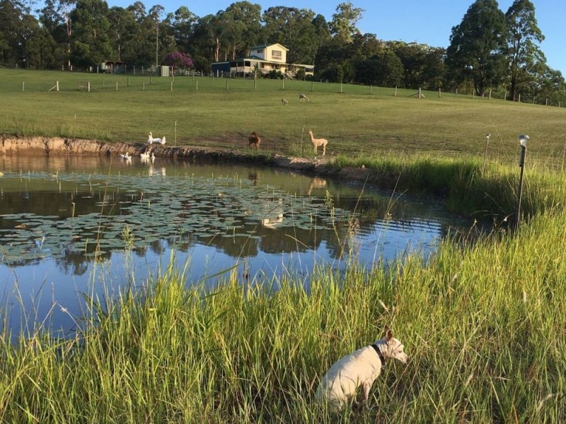 44 Jones Road, Eungai Rail NSW 2441