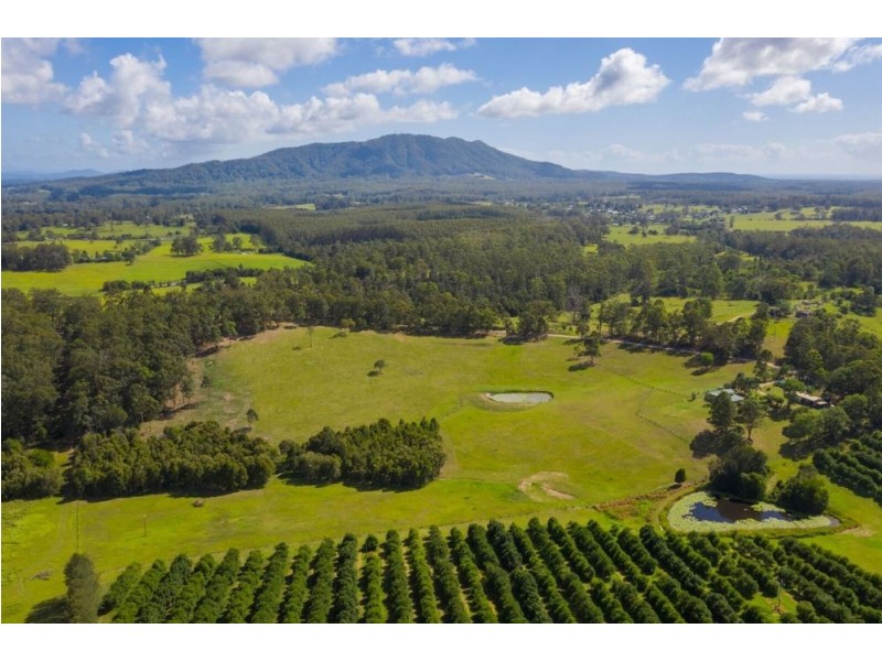 44 Jones Road, Eungai Rail NSW 2441