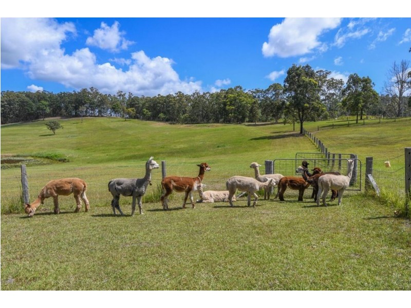 44 Jones Road, Eungai Rail NSW 2441