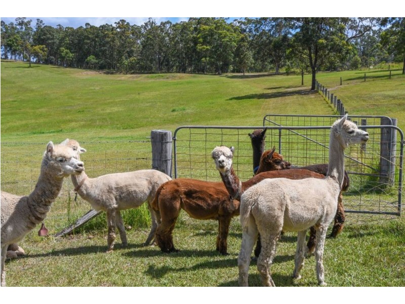 44 Jones Road, Eungai Rail NSW 2441