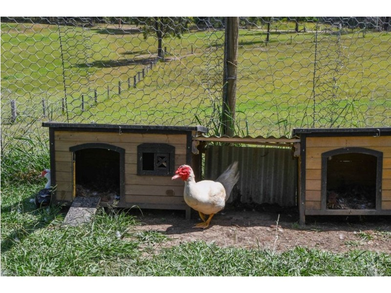 44 Jones Road, Eungai Rail NSW 2441