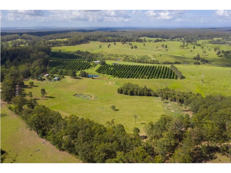 44 Jones Road, Eungai Rail NSW 2441