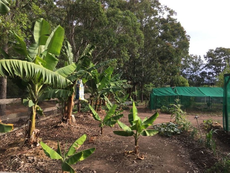 44 Jones Road, Eungai Rail NSW 2441