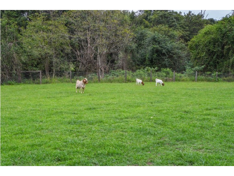 Rollands Plains NSW 2441