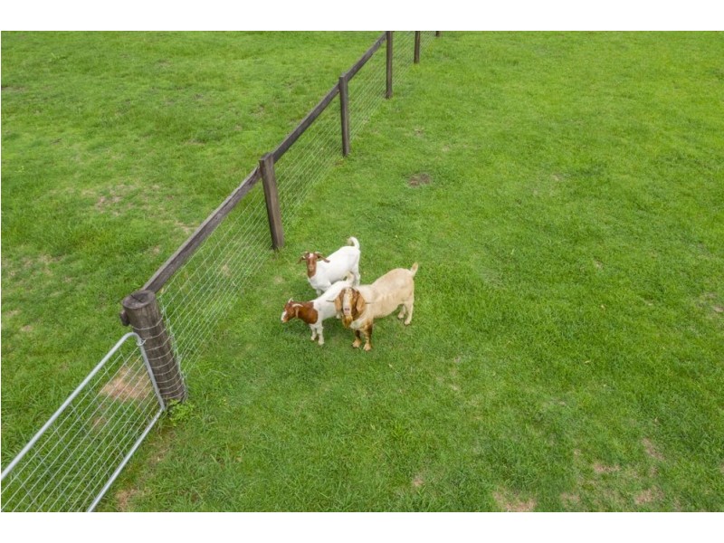 Rollands Plains NSW 2441