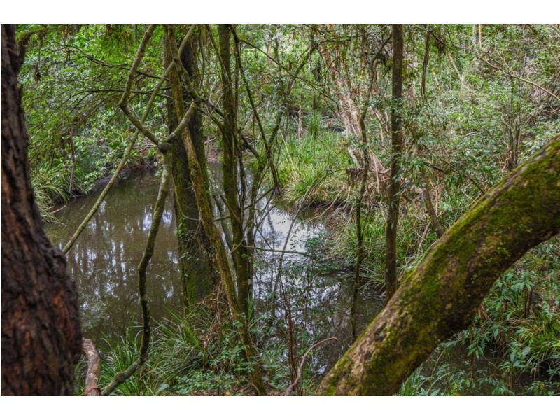 Rollands Plains NSW 2441