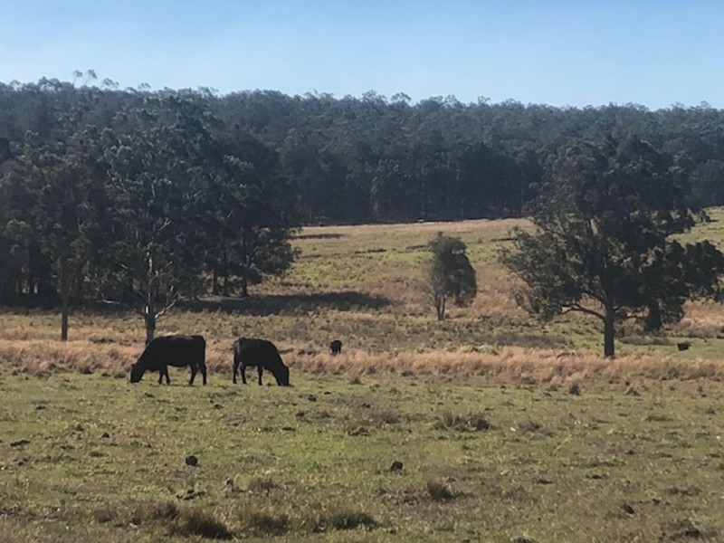 752 Swan Lane, Collombatti NSW 2440