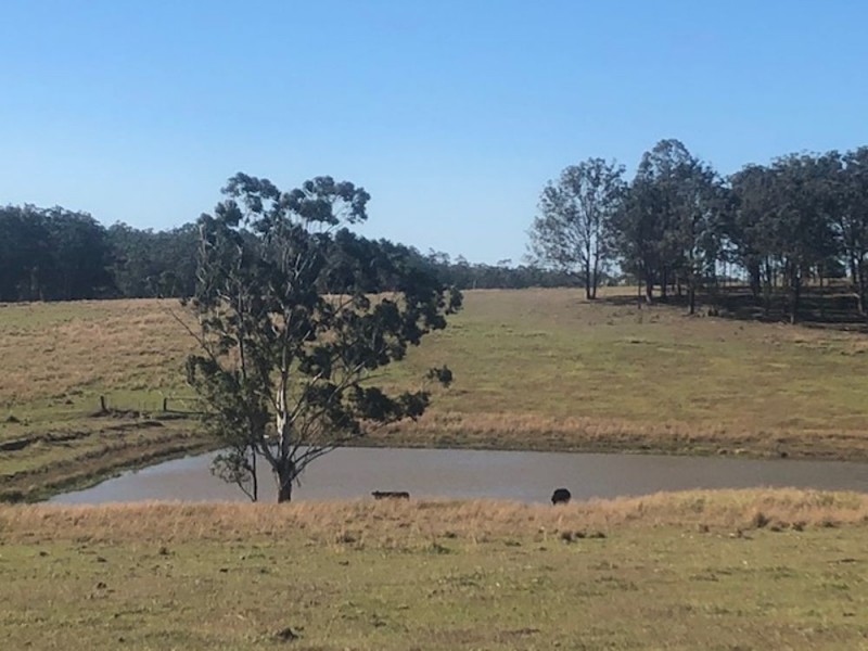 752 Swan Lane, Collombatti NSW 2440