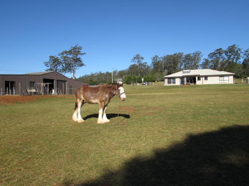 Hannam Vale NSW 2443