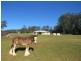 Hannam Vale NSW 2443
