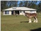 Hannam Vale NSW 2443