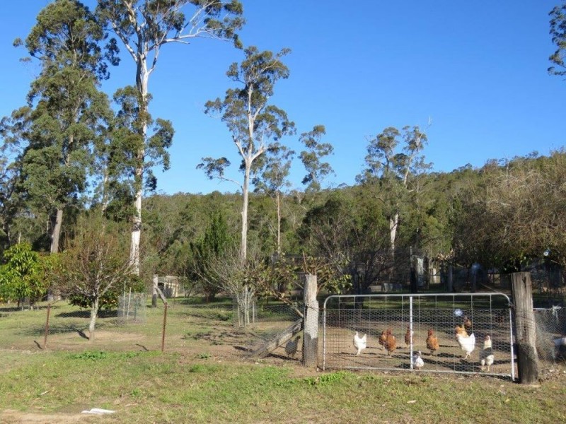 Kundabung NSW 2441