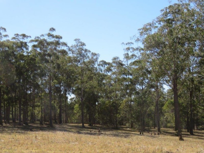 East Kempsey NSW 2440