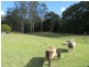 Kundabung NSW 2441