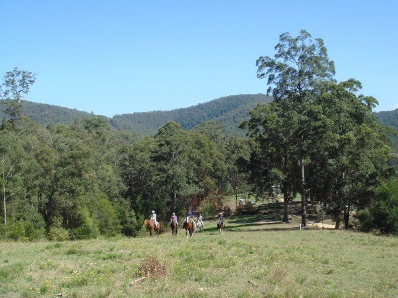 Frazers Creek NSW 2446