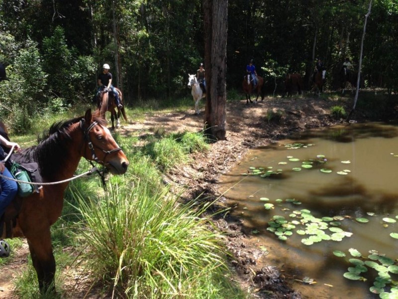 Frazers Creek NSW 2446