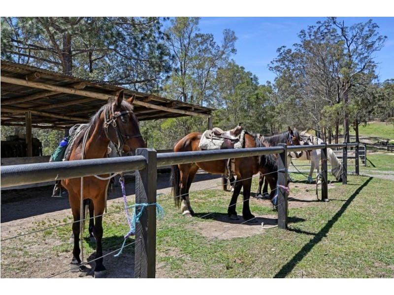 Frazers Creek NSW 2446