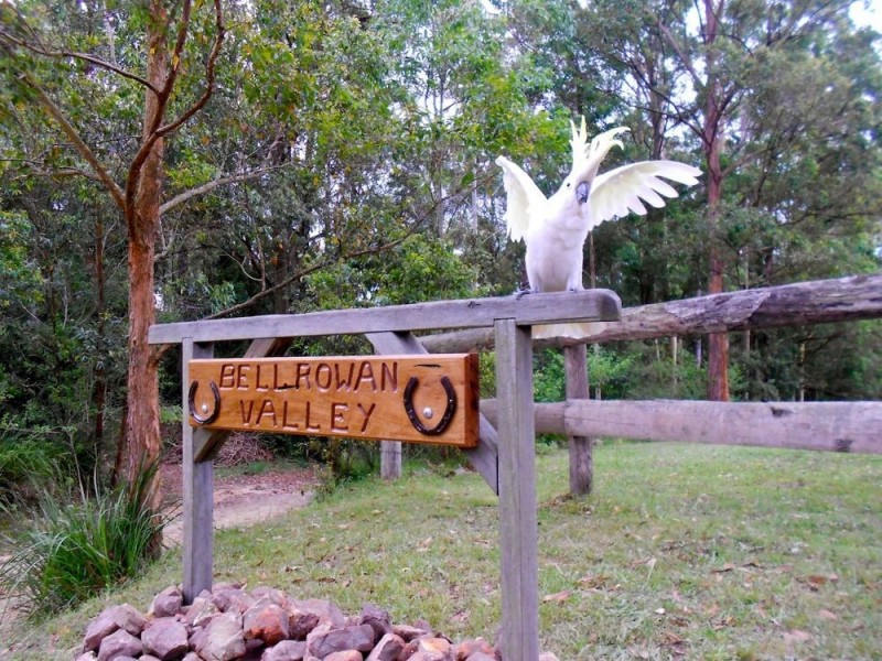 Frazers Creek NSW 2446