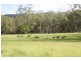 Frazers Creek NSW 2446