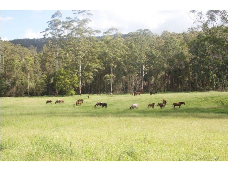 Frazers Creek NSW 2446