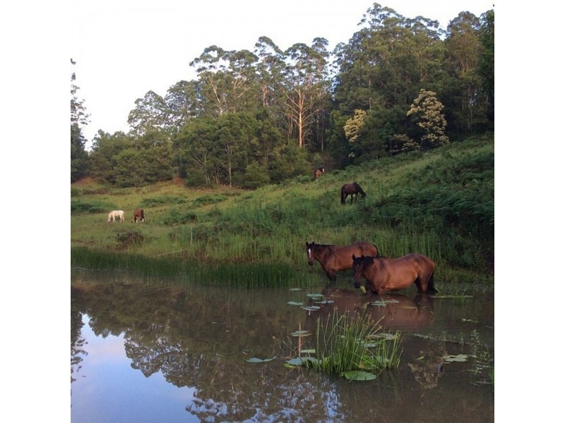 Frazers Creek NSW 2446