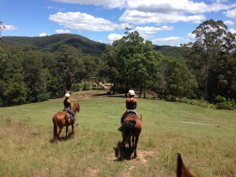 Frazers Creek NSW 2446