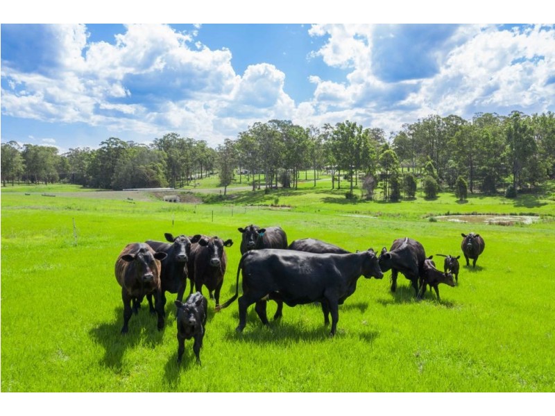 Lot 23 Euroka Park Estate    238 Gowings Hill Rd, Euroka NSW 2440