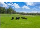 Lot 23 Euroka Park Estate    238 Gowings Hill Rd, Euroka NSW 2440