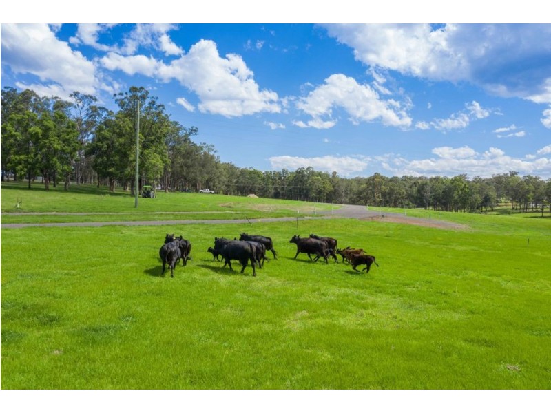 Lot 23 Euroka Park Estate    238 Gowings Hill Rd, Euroka NSW 2440