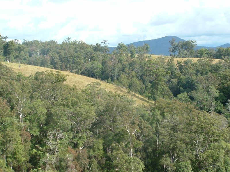 Telegraph Point NSW 2441