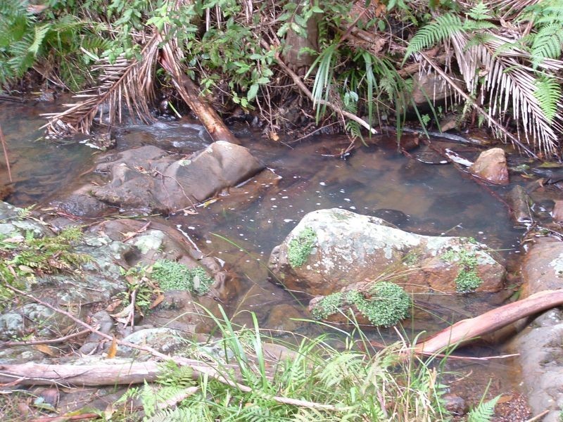 Telegraph Point NSW 2441