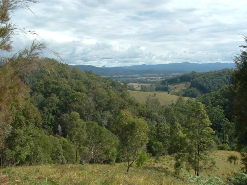 Telegraph Point NSW 2441