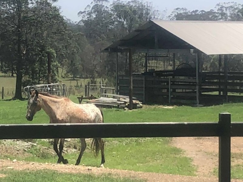 Frederickton NSW 2440