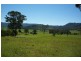 Ellenborough NSW 2446