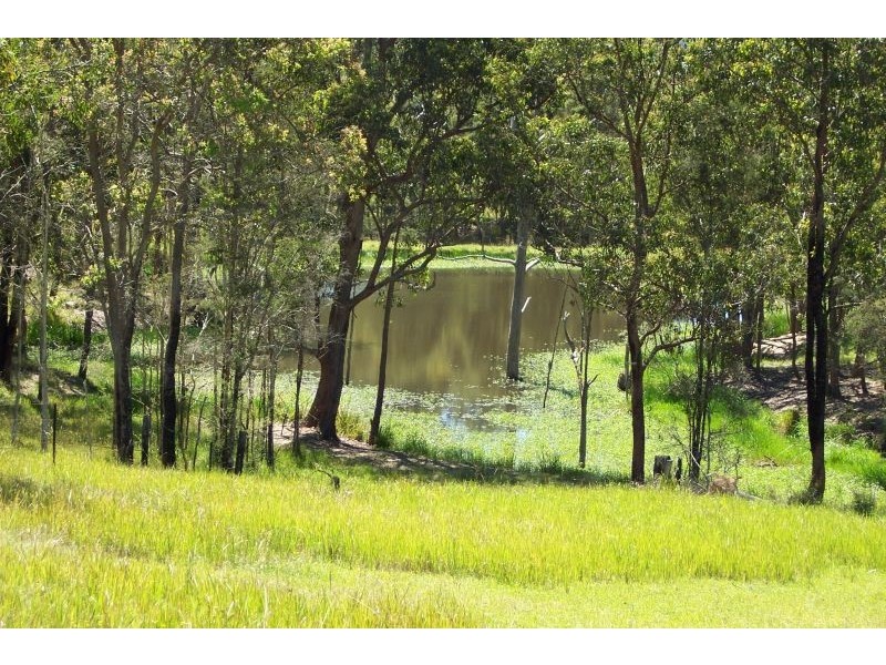 Ellenborough NSW 2446