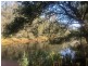 Lot 52 of 583 Maria River Road, Crescent Head NSW 2440