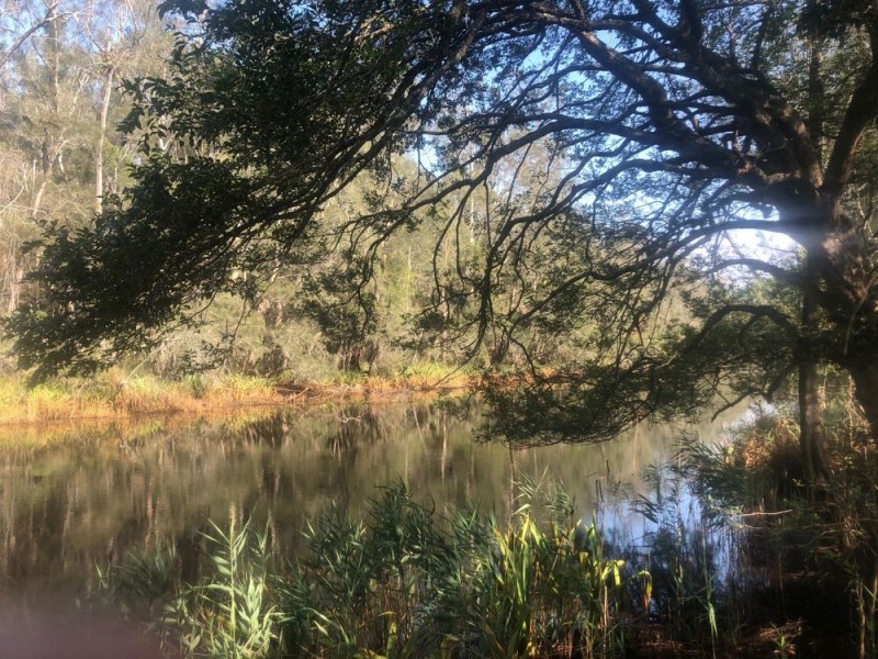 Lot 52 of 583 Maria River Road, Crescent Head NSW 2440