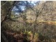 Lot 52 of 583 Maria River Road, Crescent Head NSW 2440
